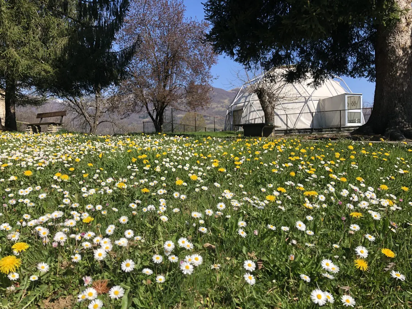 geodetica-in-primavera-scaled